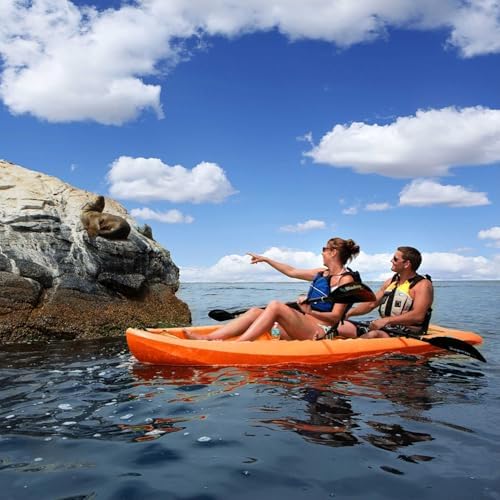 Lifetime Kokanee Sit-On-Top Kayak, Orange, 10'6"