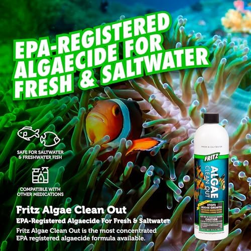 Fritz Aquatics Algae Clean Out - Algaecide for Fresh and Salt Water Aquariums, 16 oz