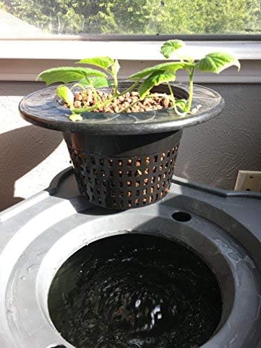 16.5 Gallon Deep Water Culture (DWC) Hydroponic Growing System Complete Kit (1)
