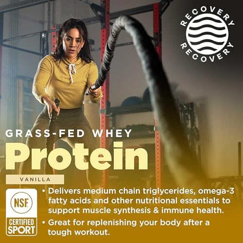 Gnarly Nutrition Chocolate Protein Powder – NSF Sport Certified – 25g Protein, Muscle Repair – Grass Fed Whey Powder, Smooth Taste – Chocolate, 32 oz