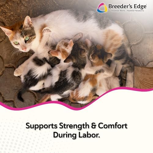 Breeder's Edge Oral Cal Plus Gel, Whelping and Queening Calcium Supplement Gel for Dogs and Cats Delivers 3 Calcium Sources in Labor to Support Strong and Normal Contractions, 30ml Paste