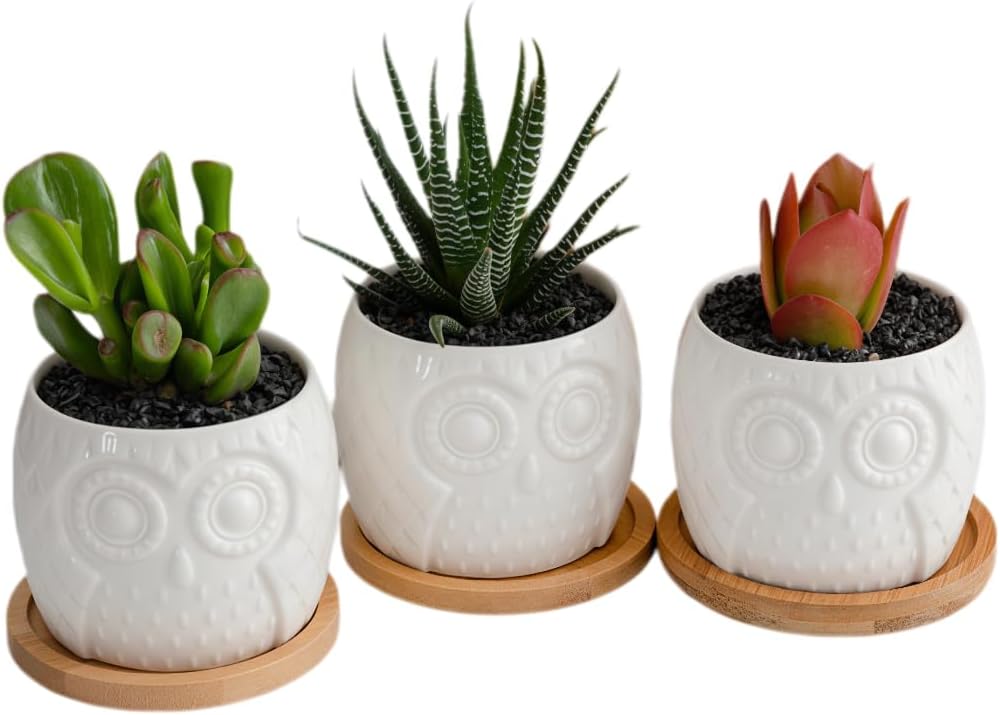 Cuteforyou Succulent Pots,Cute Animal Shaped Cartoon Ceramic Succulent Cactus Flower Planters -Plant Not Included，Cat