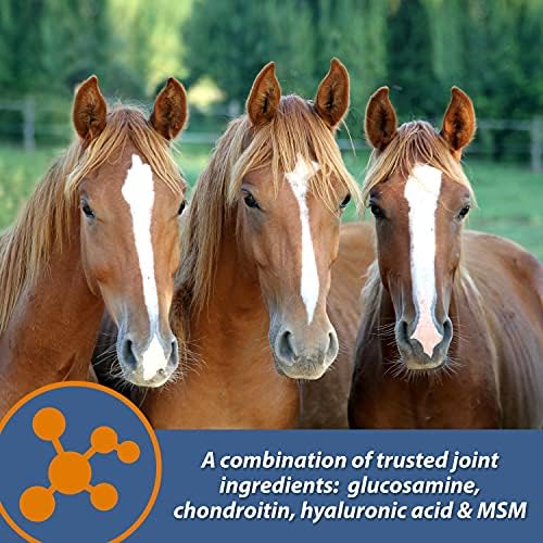 Farnam MaxFlex XR Extended Release Joint Supplement for Horses, Provides a continuous supply of joint health ingredients for 24 hours, 0.9375 pound