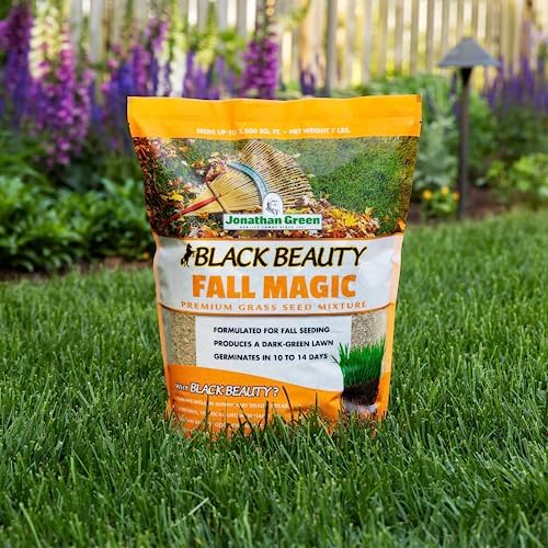 Jonathan Green (10765) Black Beauty Fall Magic Grass Seed - Cool Season Lawn Seed (3 lb)