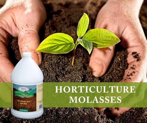 Medina Horticultural Molasses 1200 Sq. Ft. Liquid Qt
