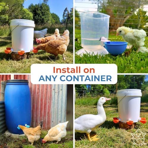 Lil'Clucker Large Automatic Chicken Waterer Cups | Chicken Water Feeder Suitable for Chicks, Duck, Goose