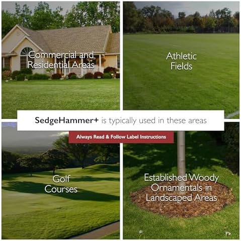 Sedgehammer Plus Turf Solution, 13.5 Grams, Nutsedge Control | Lawns, Golf Courses, Sports Fields, Vegetation Management