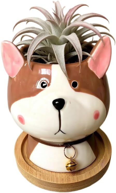 Cuteforyou Succulent Pots,Cute Animal Shaped Cartoon Ceramic Succulent Cactus Flower Planters -Plant Not Included，Cat