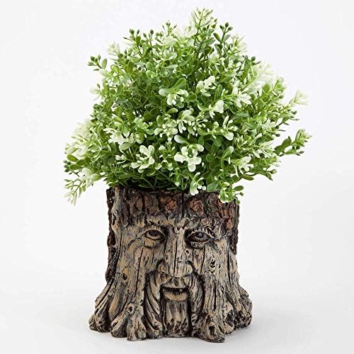 Bits and Pieces - Tree Face Garden Planter Flower Pot - 5 1/2 Inch