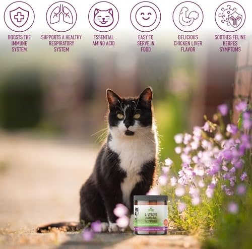 Strawfield Pets L-Lysine Immune Support Granules for Cats & Kittens - Immune Health Supplement Cat Cold Relief, Sneezing, Congestion, Running Nose