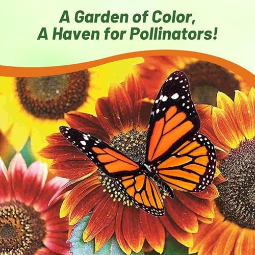 Outsidepride Autumn Beauty Sunflower Seeds for Planting - 1 Lb. Annual, Easy to Grow Flower Seeds w/Vibrant, Abundant Blooms for Cut Flower Arrangements & Pollinator & Vegetable Gardens