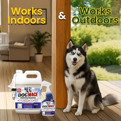 Nature's MACE Dog Mace Dog Repellent 1 Gallon Concentrate | Potty Training Tool Spray, Indoor & Outdoor, Pee Deterrent, Safe Around Kids, Pets, Garden & Plants, Treats 48,000 Sq. Ft.
