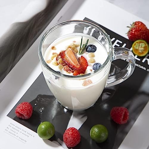 D.M DESIGN·MASTER [6 PACK, 12 OZ - Premium Glass Coffee Mugs with Handle. Transparent Tea Glasses for Hot/Cold Beverages