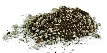 pile of soil