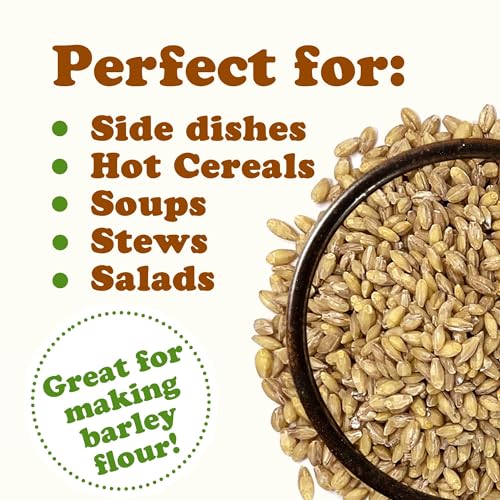 Food to Live Organic Hulled Barley, 15 Pounds – Non-GMO, 100% Whole Grain, Kosher, Vegan, Bulk. Suited for Home Brewing, Grinding. High in Fiber. Great for Chili, Hot Cereal, Salads, Soup.