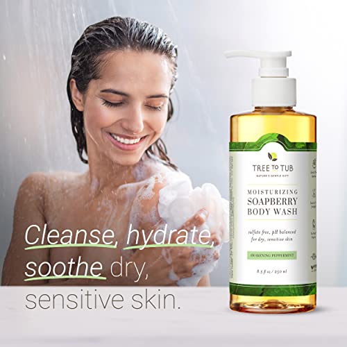 Tree To Tub Soapberry Body Wash for Dry, Sensitive Skin, pH 5.5, 8.5 Fl Oz | Sulfate & Paraben-Free, Rich Lather, Fragrance-Free, Shea Butter & Aloe Vera, Vegan & Cruelty-Free, Gentle for Daily Use
