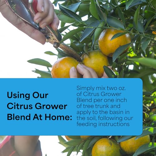 Grow More Citrus Grower Blend (1.7-0-0) - 20oz of Organic Citrus Fertilizer for Potted Trees with Chelated Micronutrient - Improves Taste, Color