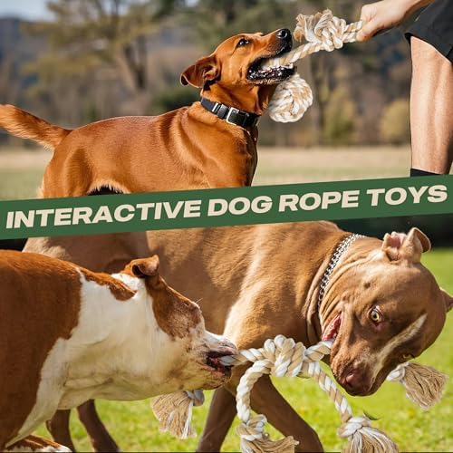 TwoEar Dog Rope Toy 4 Pack - Puppy Teething Toys for Small Breed
