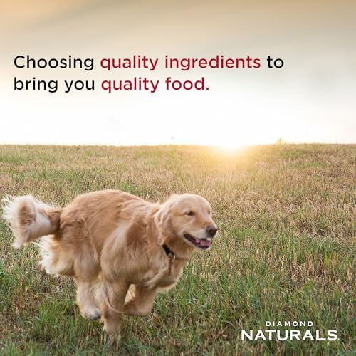 Diamond Naturals Small & Medium Breed Puppy Dry Dog Food, Chicken, 6lb | Puppy, Adult & Senior Dogs | High Protein | DHA for Proper Brain and Vision Development | Guaranteed Probiotics