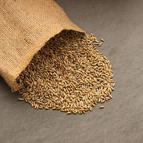 Handy Pantry Organic Rye Grain Seeds - Rye Seed 5 Lb Bulk Sprouting | Organic Rye Berries and Seeds for Flour, Meal, Pasta, Marble Bread, Cracked Grain, Sprouting, and Grass Growing