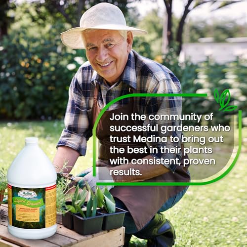 Medina Liquid Seaweed Fertilizer, 1 Gallon | For Plants, Concentrated, Lawn and Garden, Enhances Plant Growth and Soil Health, Ready to Spray, Covers 64000 Sq. Ft.