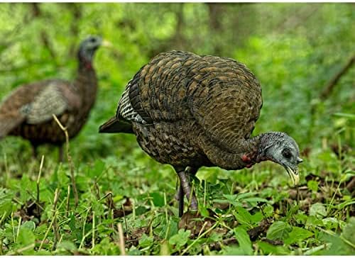 Avian X LCD Feeder Hen Turkey Decoy