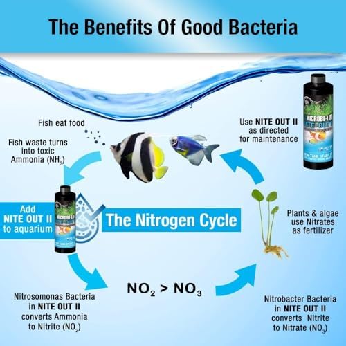 MICROBE-LIFT Nite-Out II Aquarium Bacteria for Start-up, Instantly Cycle Aquariums, Add Fish on Day 1, Rapid Ammonia and Nitrite Reducer for Freshwater & Saltwater Fish Tank, 16 Ounces (NITEH16)