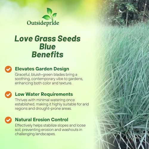 Outsidepride 500 Seeds Perennial Eragrostis Spectabilis Ornamental Love Grass Seed for Planting