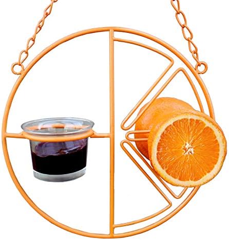 Heath Outdoor Products CF-133 Clementine Oriole Feeder , orange
