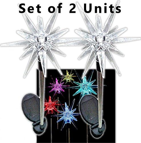 1011-2 Sparkling Solar Star Lights Garden Stake (Set of 2)