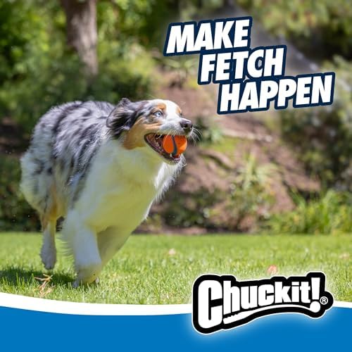 Chuckit! Fetch Pack Dog Balls - Interactive Dog Toys, High-Bounce Fetch Ball, Floating Ultra and Rugged Balls, Durable - Size Small, 2-inch Diameter, Set of 3