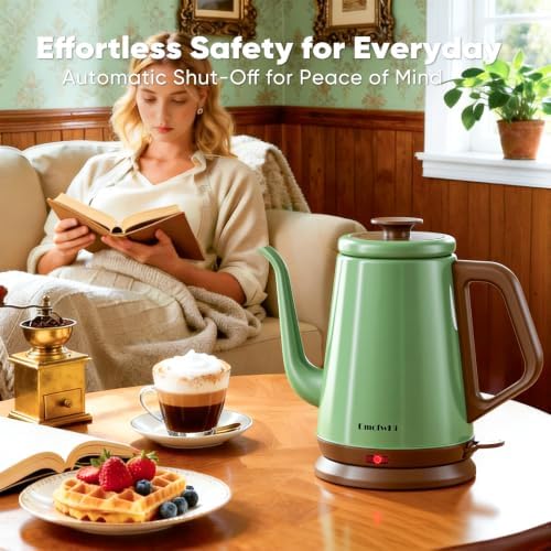 DmofwHi 1000W Gooseneck Electric Kettle (1.0L), 100% Stainless Steel BPA Free Tea Kettle with Auto Shut - Off Protection
