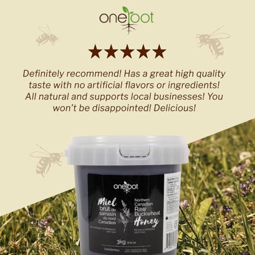 OneRoot Raw Buckwheat Honey – 500g / 17.6oz, Unheated & Unprocessed Dark – Nutrient-Rich, Antioxidant-Packed Natural Sweetener – Pure & Unfiltered Honey