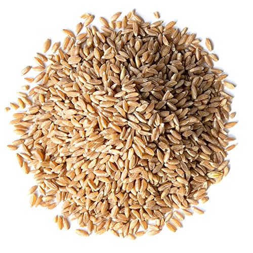 Food to Live Organic Spelt Berries, 3 Pounds - Non-GMO, Whole Grain, Non-Irradiated, Vegan Superfood, Bulk, Product of the USA