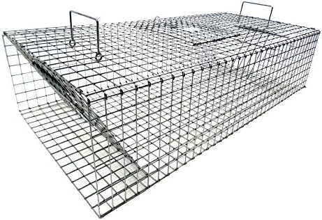 Model 502 - Tomahawk Double Door Collapsible Pigeon Trap