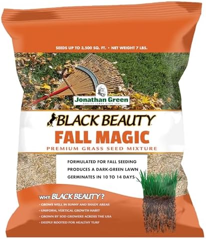 Jonathan Green (10765) Black Beauty Fall Magic Grass Seed - Cool Season Lawn Seed (3 lb)