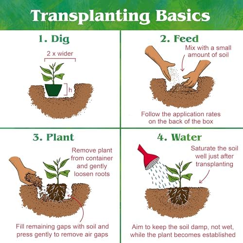 Down To Earth All Natural Fertilizers Organic Acid Mix - 4-3-6, 25 lb | Plant Food for Blueberries, Raspberries, Azaleas, Camellias, Rhododendrons, Hydrangeas, Evergreens and Acid-Loving Plants