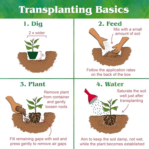 Down To Earth All Natural Fertilizers Organic Starter Mix - 3-3-3, 1 lb | Plant Food for Starts, Transplants, New Gardens, Containers