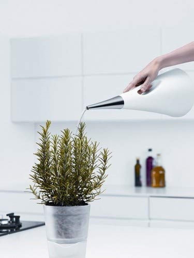 EVA SOLO | AquaStar Watering Can 2l / 0.53 Gallon / 67.6 Fluid Ounce | Pointed spout Produces an Even Flow of Water | Danish Design, Functionality & Quality | Grey