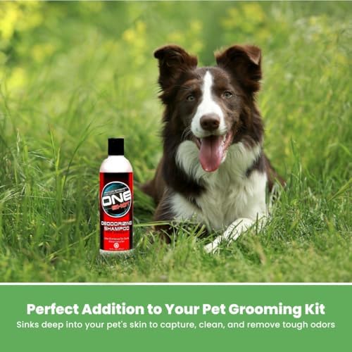 Best Shot One Shot Deodorizing Shampoo, Coat and Skincare Product for Dogs, Cats, and Horses, Eliminates Foul Odors, 1 Gallon