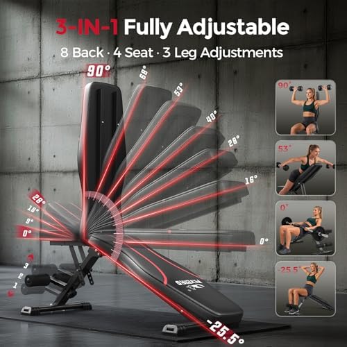 FLYBIRD WB2 Weight Bench, Adjustable Weight Bench for Full Body Workout