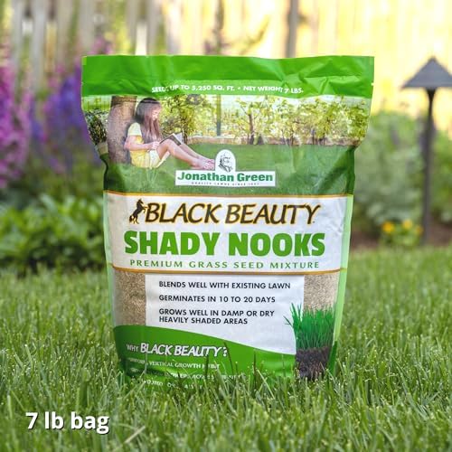 Jonathan Green (11960) Black Beauty Shady Nooks Grass Seed - Cool Season Lawn Seed (25 lb)
