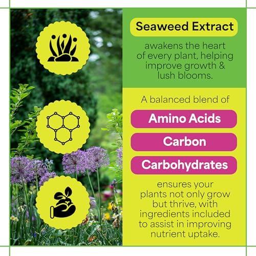Grow More Sea Grow Flower & Bloom (4-26-26) - 1.5lbs of Seaweed Fertilizer for Plants - Water Soluble Fertilizer for Vegetables & Fruits - High Phosphorus Flower Food w/Seaweed Extract for Plants