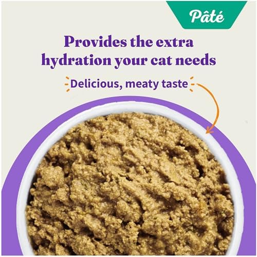 Halo Wet Cat Food Real Chicken Recipe, Grain-Free Wet Pate, Canned Cat Food for Extra Hydration, 5.5 Oz Can (Pack of 12)