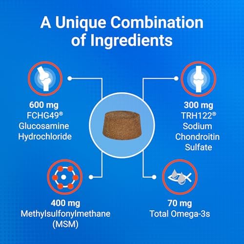 Nutramax Cosequin Joint Supplement for Dogs, Skin & Coat, Soft Chews, 120ct | Glucosamine & Chondroitin for Dogs with MSM, Omega-3s, Supports Joints
