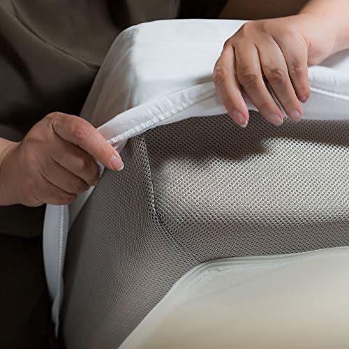 Protect-A-Bed Cloud Extra-Soft Tencel Waterproof Mattress Protector, Queen
