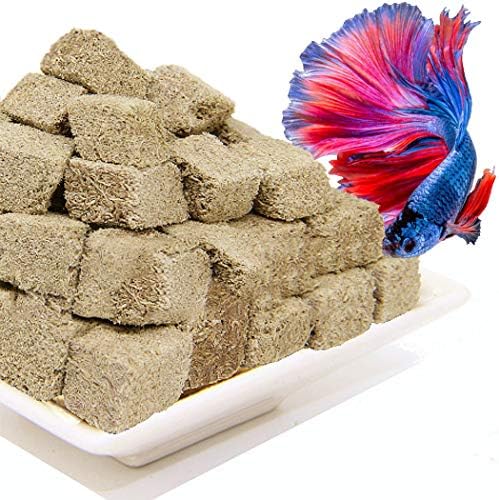 Brine Shrimp Cubes All Natural Tropical Fish Food for Small to Medium Sized Saltwater & Freshwater Fish - Betta Guppy Discus Cichlids Discus Goldfish Angel Fish