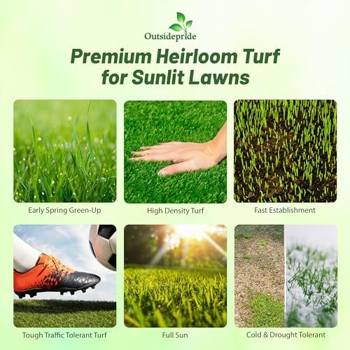 Outsidepride Full House Bermuda Grass Seed Mix - 2 lbs. Premium Warm Season Turf Blend of Traffic & Drought-Tolerant Monaco & Hollywood Bermuda