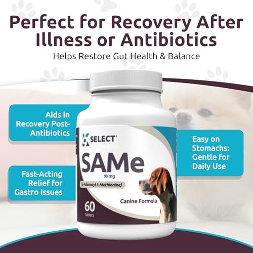 K9 Select Pet Probiotics for Dogs with Inulin – Dog probiotics for Digestive Health & Gut Support with Digestive Enzymes for Dogs