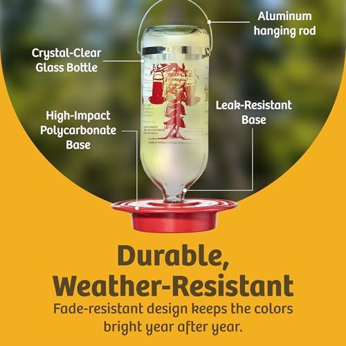 Birds Choice Best-1 Hummingbird Feeder | 32oz Nectar Capacity | Clear | Wide-Mouth Bottle for Easy Filling and Cleaning, Multiple Feeding Ports